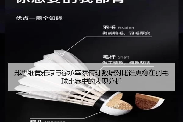 郑思维黄雅琼与徐承宰蔡侑玎数据对比谁更稳在羽毛球比赛中的表现分析